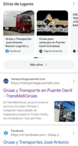 Posicionamiento web local de TransMelliGrúas en Google para la búsqueda grúas y transporte Puente Genil, con presencia en mapa y resultados orgánicos
